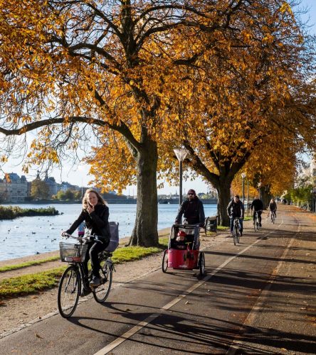 Piste cyclable au Danemark